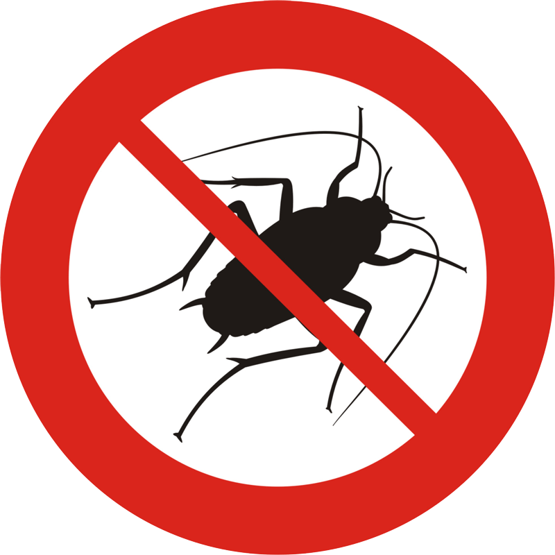 Icona disinfestazione blatte