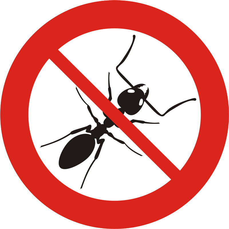 Icona disinfestazione formiche