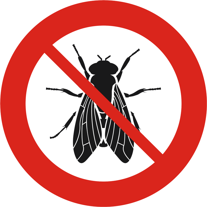 Icona disinfestazione mosche