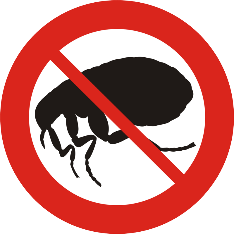 Icona disinfestazione pulci