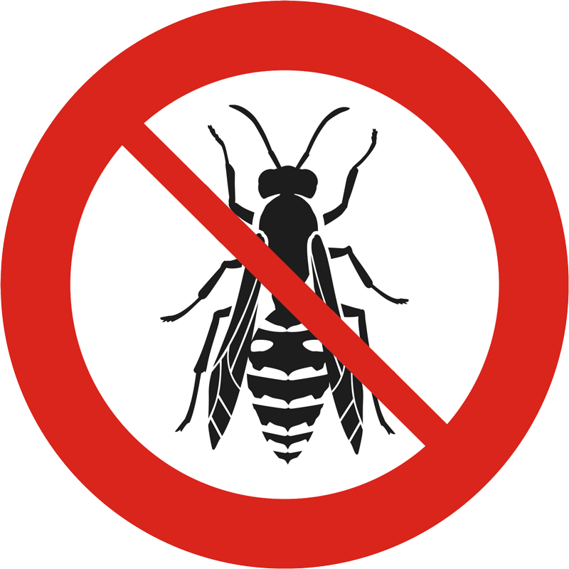 Icona disinfestazione vespe
