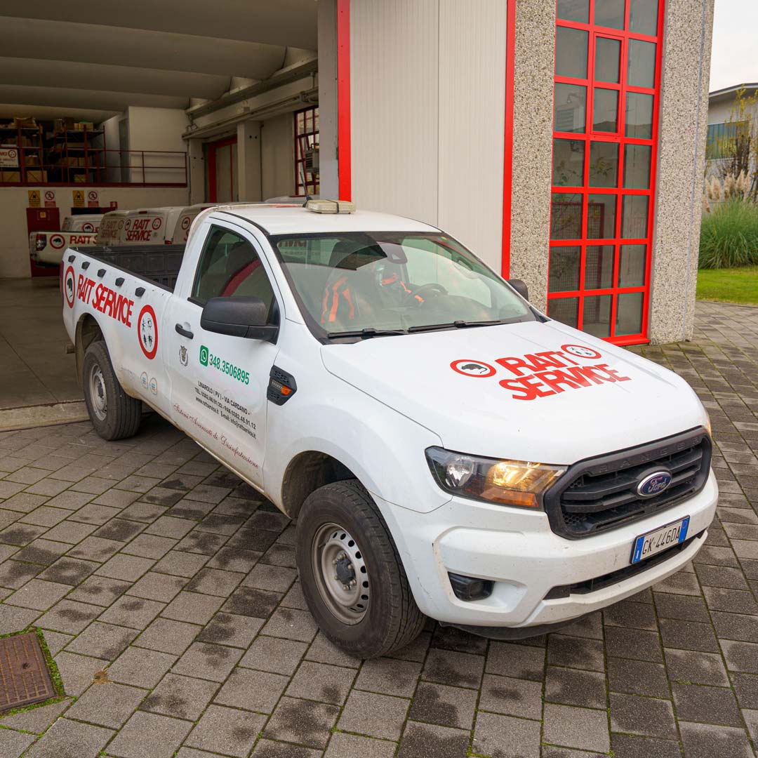 Ratt Service - Sede